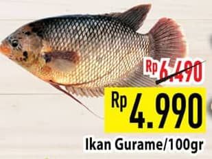 Promo Harga Ikan Gurame per 100 gr - Hypermart