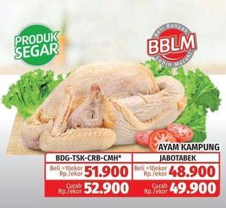 Promo Harga Ayam Kampung  - Lotte Grosir