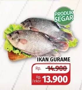 Promo Harga Ikan Gurame  - Lotte Grosir