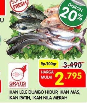 Promo Harga Ikan Lele Dumbo Hidup, Ikan Mas, Ikan Patin, Ikan Nila Merah  - Superindo