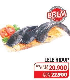 Promo Harga Lele Hidup  - Lotte Grosir