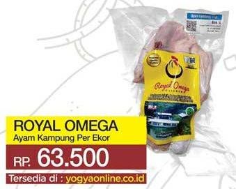 Promo Harga ROYAL OMEGA Ayam Kampung  - Yogya
