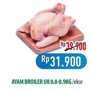 Promo Harga Ayam Broiler 800 gr - Hypermart