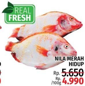 Promo Harga Ikan Nila Merah Hidup per 100 gr - LotteMart