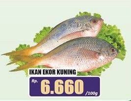 Promo Harga Ikan Ekor Kuning per 100 gr - Hari Hari