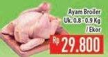 Promo Harga Ayam Broiler  - Hypermart