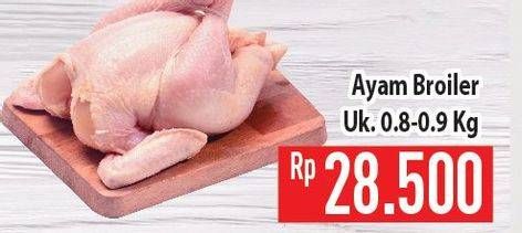 Promo Harga Ayam Broiler  - Hypermart