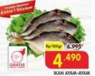 Promo Harga Ikan Ayam-Ayam per 100 gr - Superindo