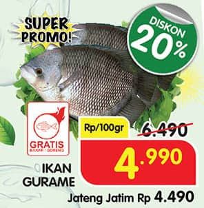 Promo Harga Ikan Gurame per 100 gr - Superindo