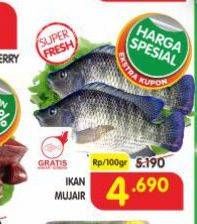 Promo Harga Ikan Mujair per 100 gr - Superindo