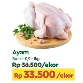 Promo Harga Ayam Broiler 900 gr - TIP TOP