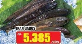 Promo Harga Ikan Gabus per 100 gr - Hari Hari