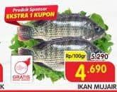 Promo Harga Ikan Mujair per 100 gr - Superindo