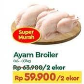 Promo Harga Ayam Broiler 600 gr - TIP TOP