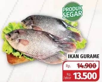 Promo Harga Ikan Gurame  - Lotte Grosir