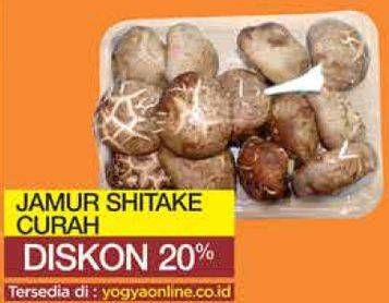 Promo Harga Jamur Shitake  - Yogya