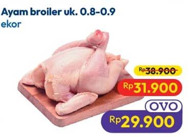 Promo Harga Ayam Broiler 800 gr - Hypermart