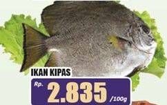 Promo Harga Ikan Kipas per 100 gr - Hari Hari