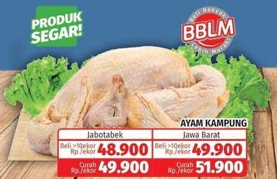 Promo Harga Ayam Kampung 600 gr - Lotte Grosir