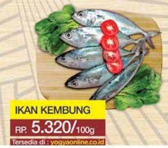 Promo Harga Ikan Kembung per 100 gr - Yogya