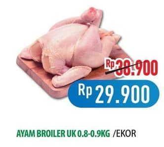 Promo Harga Ayam Broiler 800 gr - Hypermart