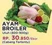 Promo Harga Ayam Broiler  - Yogya