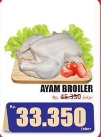 Ayam Broiler