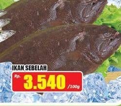 Promo Harga Ikan Sebelah per 100 gr - Hari Hari