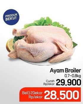 Promo Harga Ayam Broiler 700 gr - Lotte Grosir