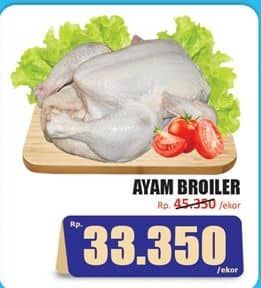 Ayam Broiler