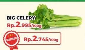 Promo Harga Celery Stick per 100 gr - Yogya