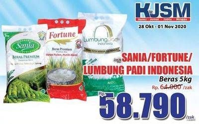 Promo Harga SANIA/FORTUNE/LUMBUNG PADI INDONESIA Beras 5Kg  - Hari Hari
