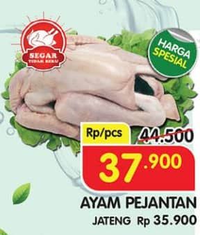 Promo Harga Ayam Pejantan 500 gr - Superindo