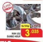 Promo Harga Ikan Lele Dumbo HIdup per 100 gr - Superindo