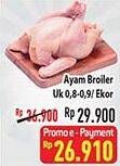 Promo Harga Ayam Broiler Ekor  - Hypermart