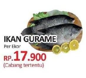 Promo Harga Ikan Gurame per 100 gr - Yogya