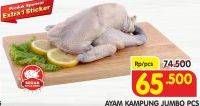 Promo Harga Ayam Kampung Jumbo  - Superindo