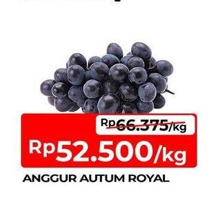 Promo Harga Anggur Autumn Royal  - TIP TOP