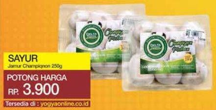 Promo Harga Jamur Champignon (Jamur Kancing) 250 gr - Yogya