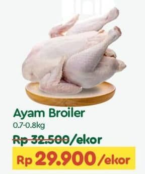 Promo Harga Ayam Broiler 700 gr - TIP TOP