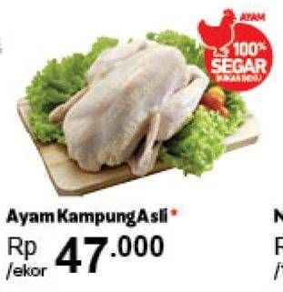 Promo Harga Ayam Kampung  - Carrefour