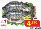 Promo Harga Ikan Mujair per 100 gr - Superindo