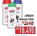 Promo Harga Lifebuoy Shampoo 170 ml - Hypermart