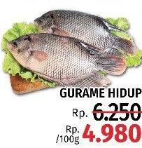 Promo Harga Ikan Gurame Hidup per 100 gr - LotteMart