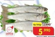 Promo Harga Ikan Belanak per 100 gr - Superindo