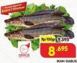 Promo Harga Ikan Gabus per 100 gr - Superindo