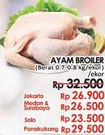 Promo Harga Ayam Broiler  - LotteMart