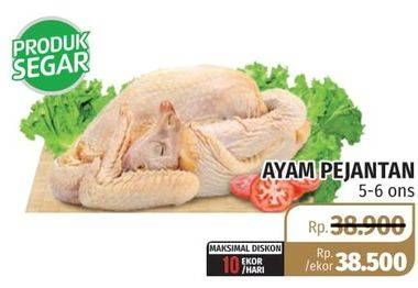 Promo Harga Ayam Pejantan 5-6 Ons  - Lotte Grosir