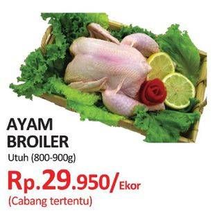 Promo Harga Ayam Broiler  - Yogya