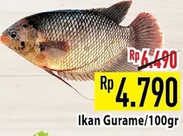 Ikan Gurame per 100 gr Diskon 26%, Harga Promo Rp4.790, Harga Normal Rp6.490